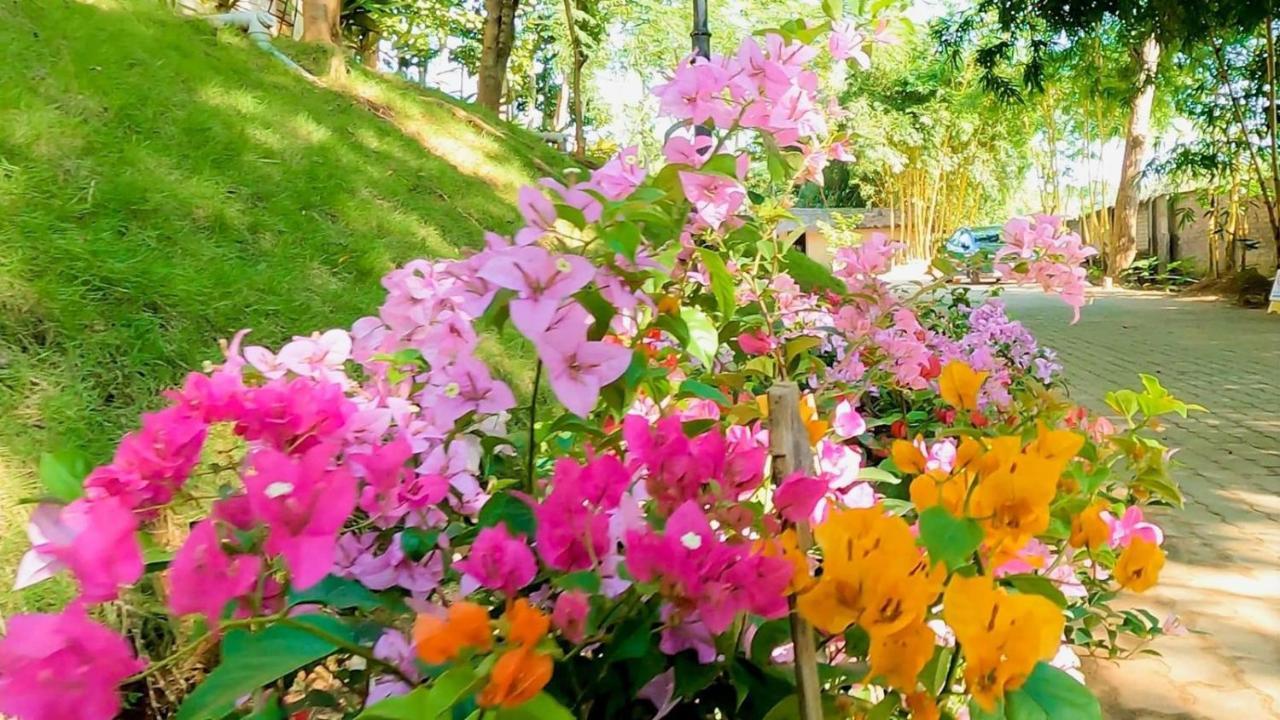 Bougainvillea Retreat & Spa Kaharpara Exteriör bild
