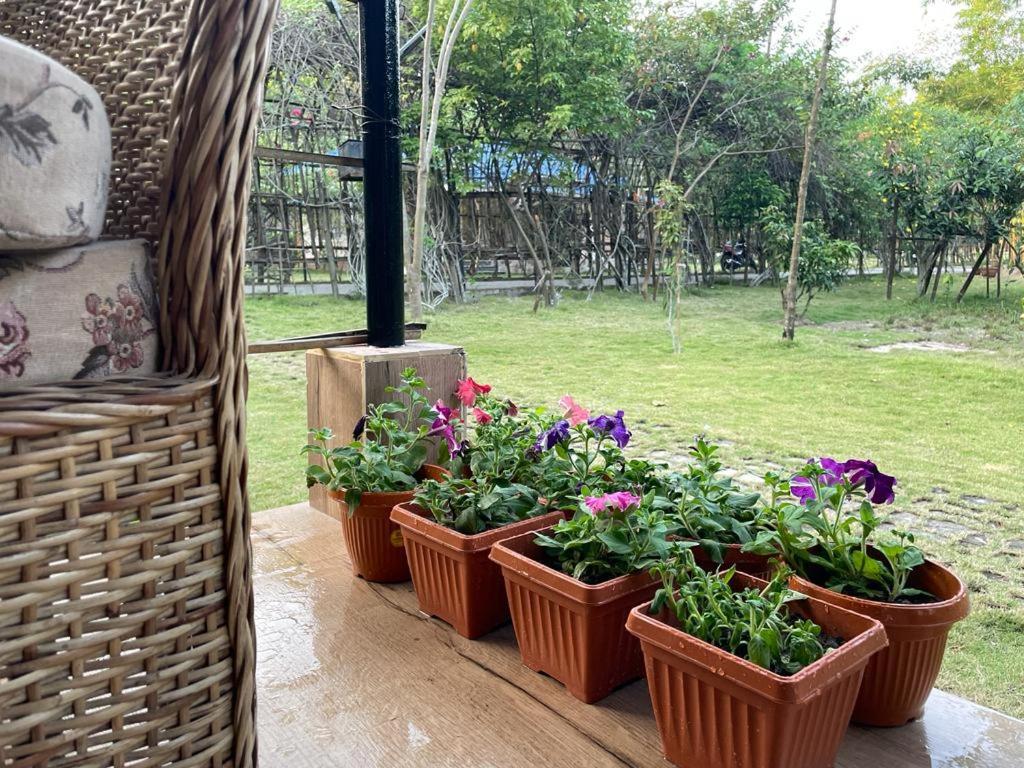 Bougainvillea Retreat & Spa Kaharpara Exteriör bild